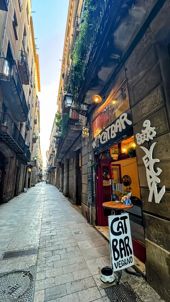 Vegan Cat Bar Barcelona
