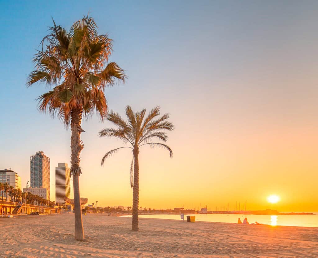 Sunset over the beach with palm trees and city skyline in Berlin Mitte.