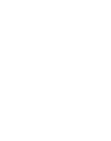 FLYING HORSE – White_Horse Only