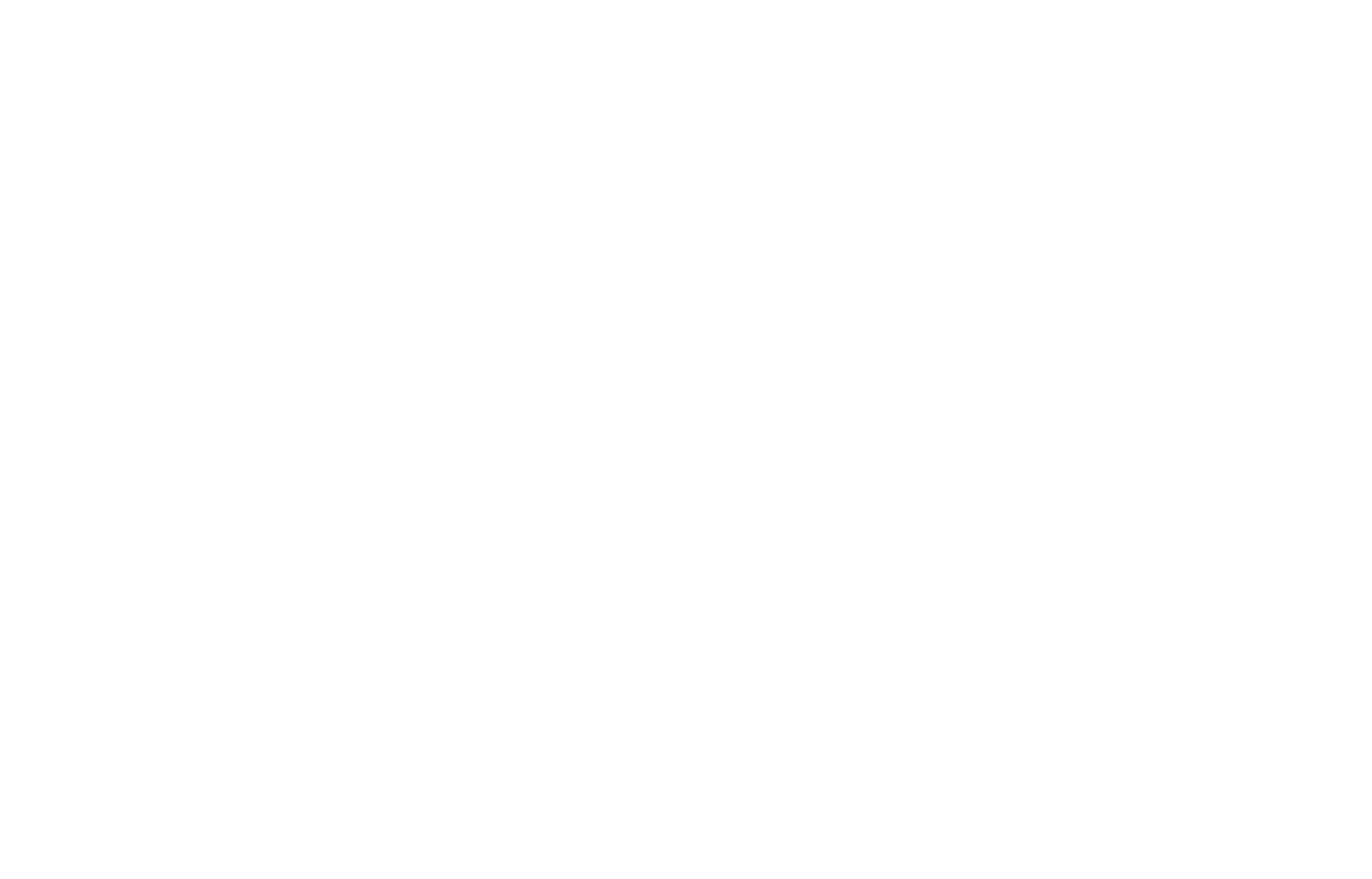 flying-horse-logo-white